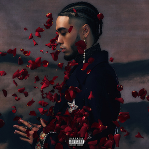 91精品久久久久久久久不卡蜜芽
