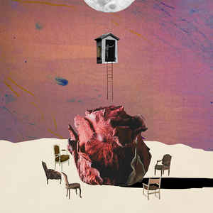 91精品久久久久久久久不卡蜜芽
