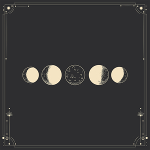 91精品久久久久久久久不卡蜜芽
